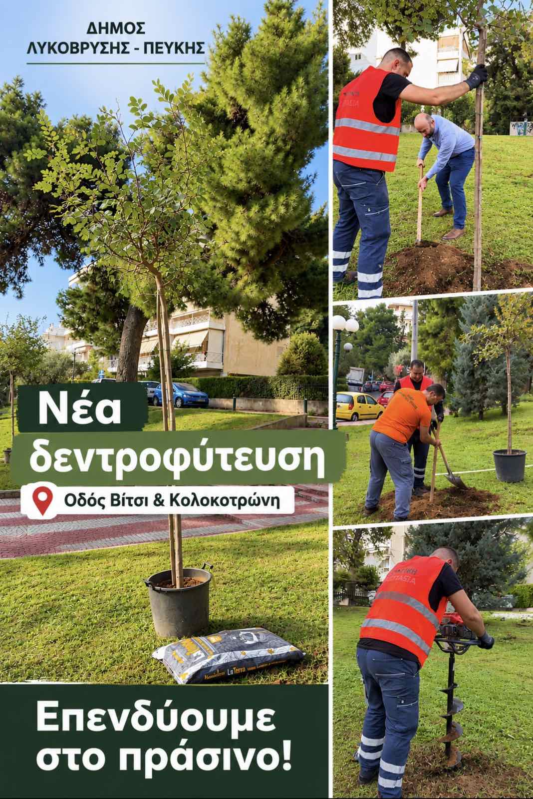 Νέες δενδροφυτεύσεις σε κάθε γειτονιά — Στόχος τα 1.000 βιώσιμα δέντρα έως το 2028 από τον Δήμο Λυκόβρυσης - Πεύκης
