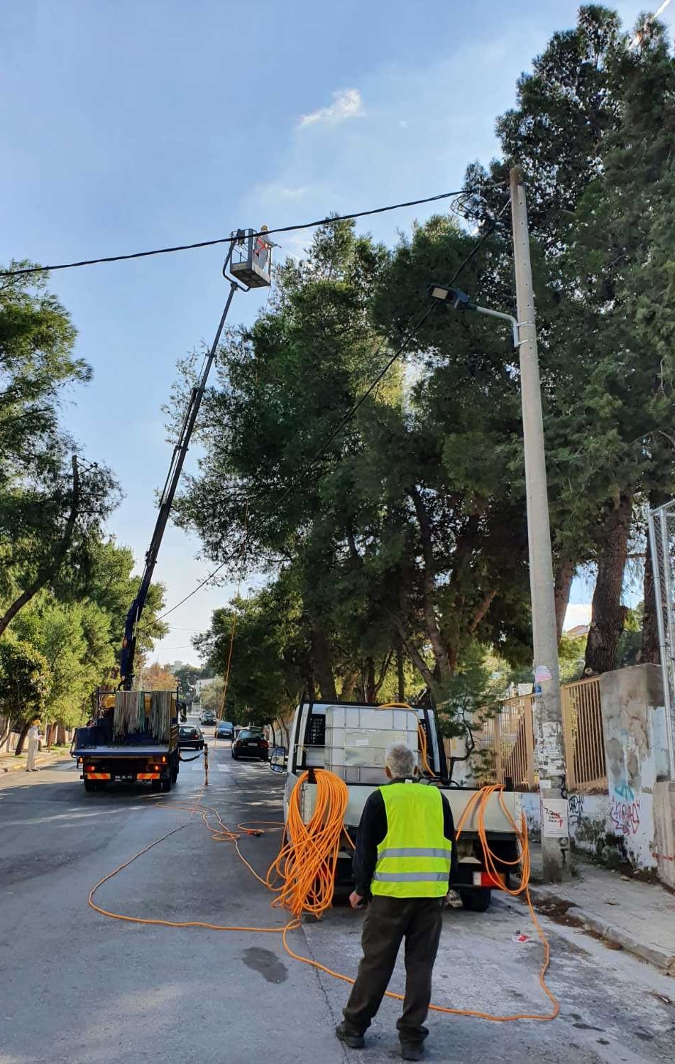 Ψεκασμός για τον έλεγχο του πληθυσμού της κάμπιας του πεύκου θα πραγματοποιηθεί 12-13/11