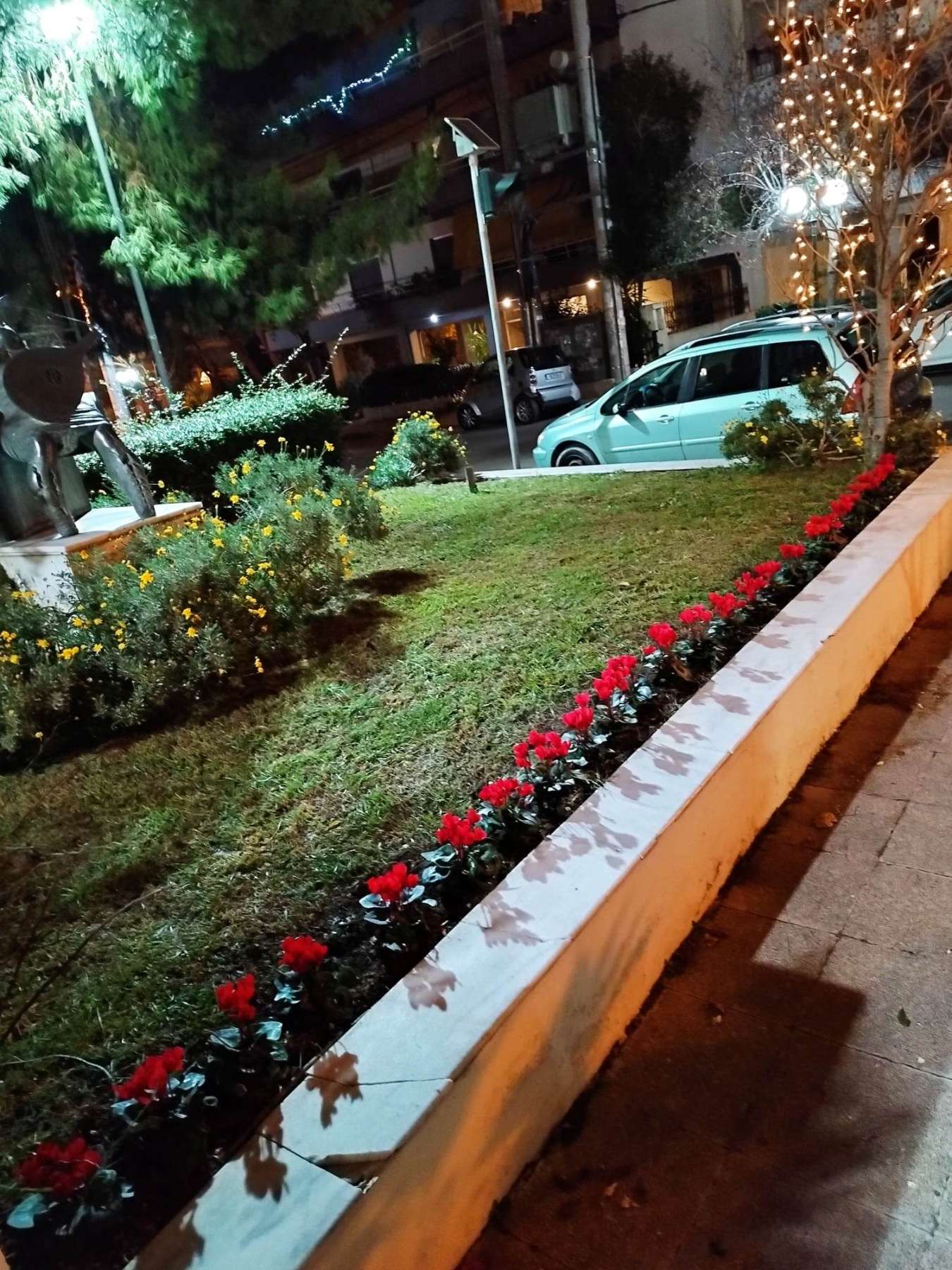 Κόκκινα κυκλάμινα φυτεύτηκαν σε κοινόχρηστους χώρους του Δήμου Λυκόβρυσης- Πεύκης